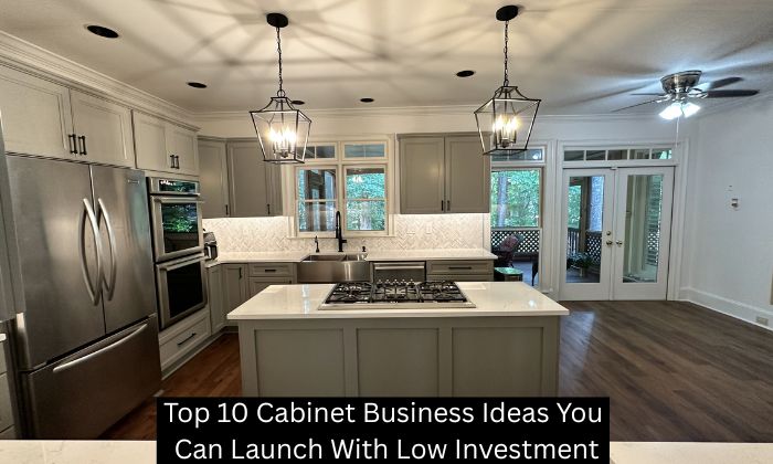Top 10 Cabinet Business Ideas You Can Launch With Low Investment