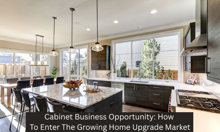 Cabinet Business Opportunity: How To Enter The Growing Home Upgrade Market